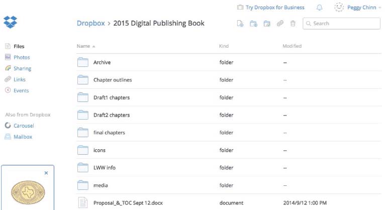Figure 2.1 – Screenshot of the Web Version of Dropbox